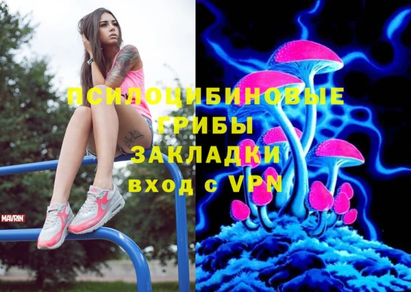 индика Алзамай