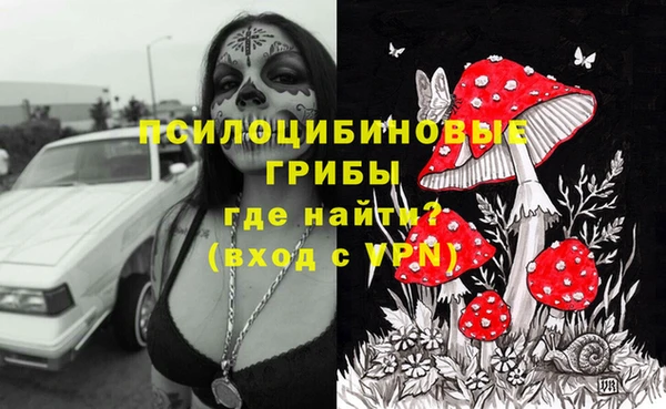 индика Алзамай
