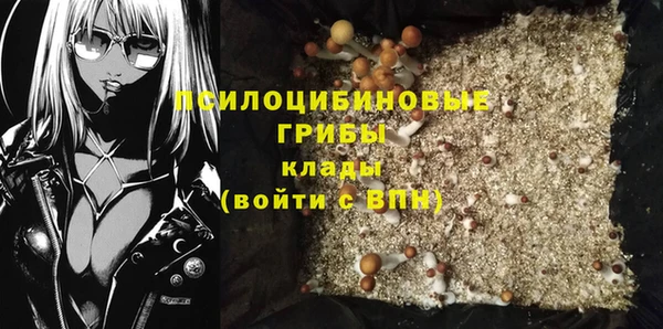 стафф Арсеньев