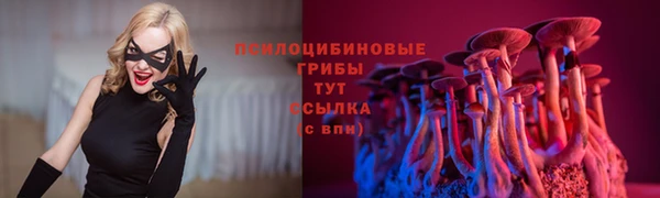 индика Алзамай