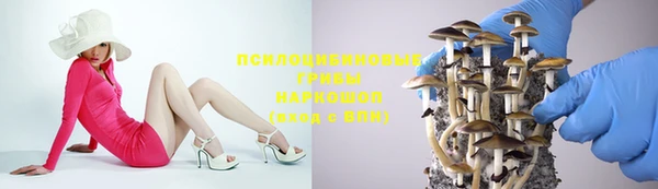 бошки Армянск