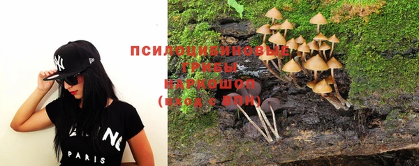 индика Алзамай