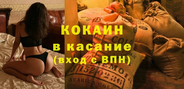 индика Алзамай