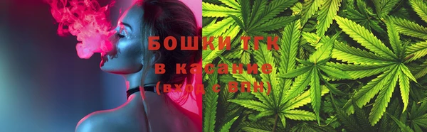 молекула духа Алексеевка