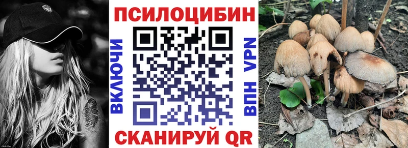 Галлюциногенные грибы Magic Shrooms  купить   Павловский Посад 